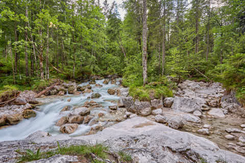 Gemeinde Ramsau Landkreis Berchtesgadener_Land Zauberwald am Hintersee (Dirschl Johann) Deutschland BGL